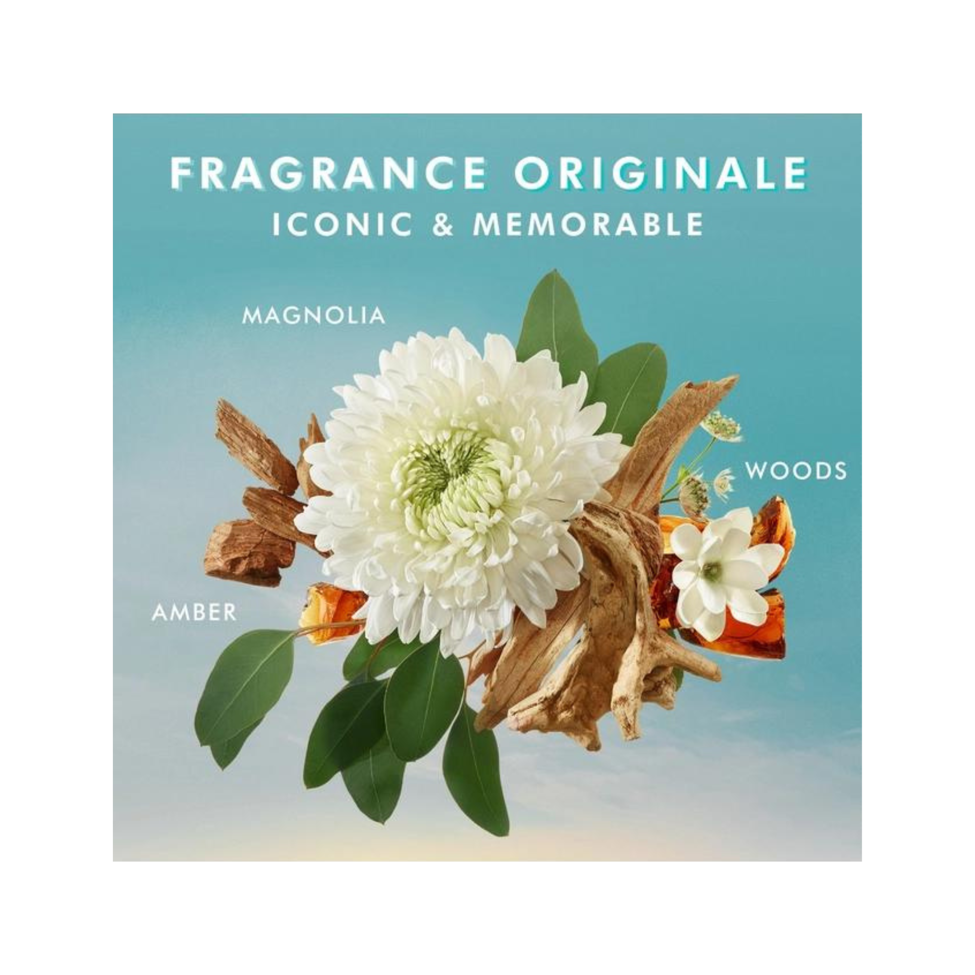 Moroccanoil Duschgel Fragrance Originale 250 ml