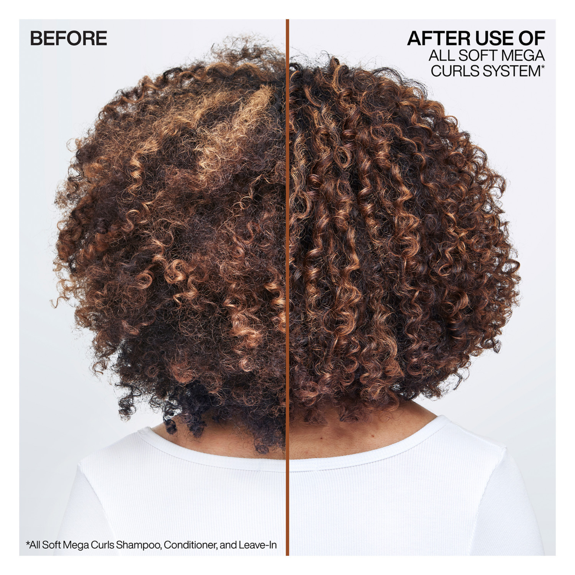 CT-17232_Redken All Soft Mega Curls Hydramelt Treatment 300 ml