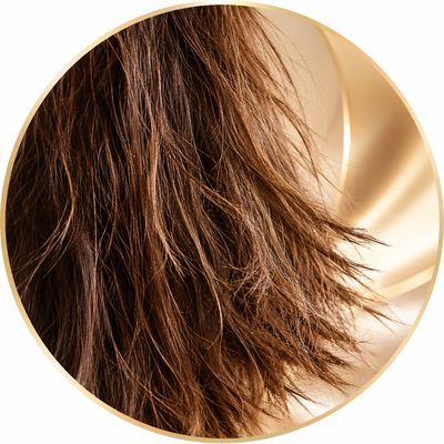 Damaged Hair