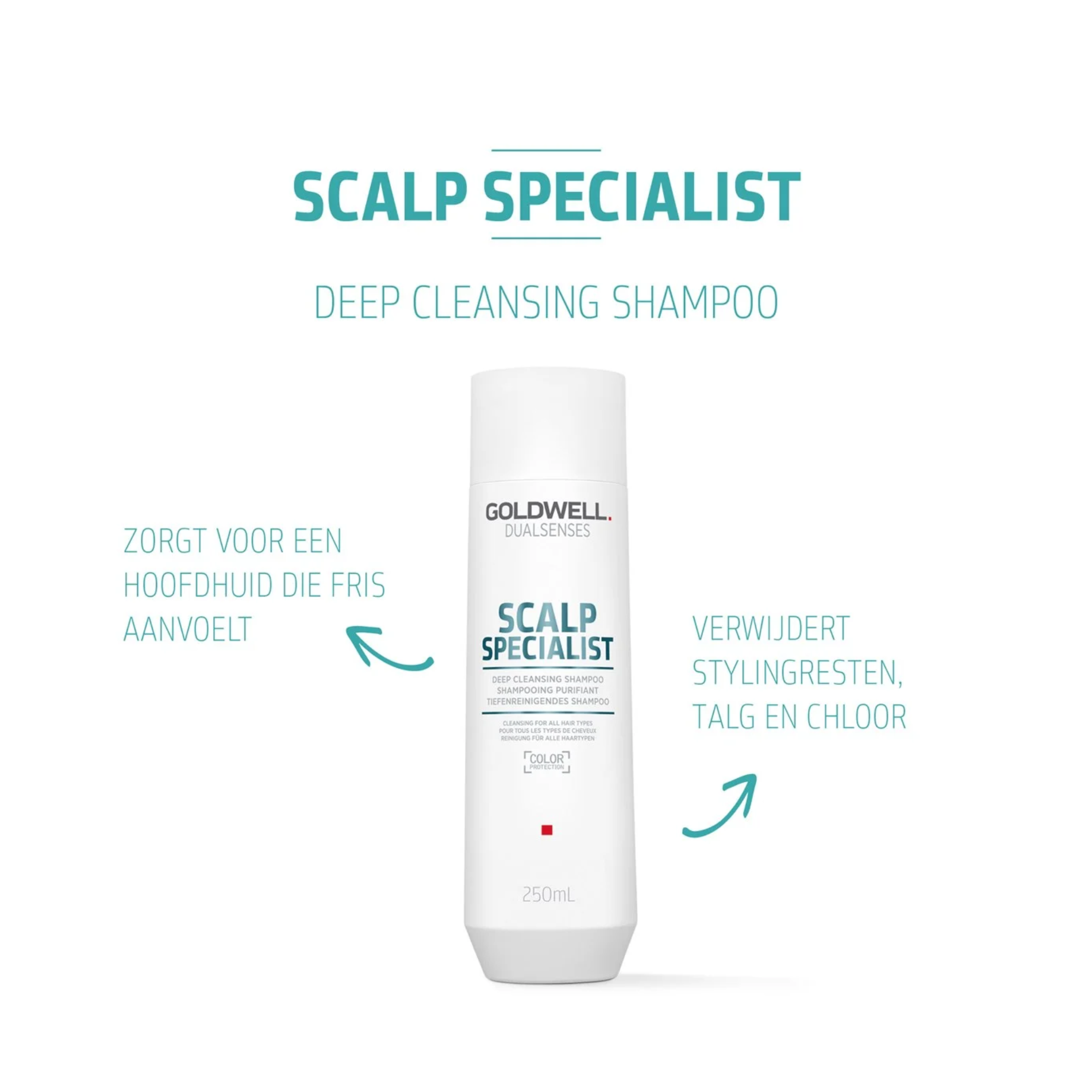 Goldwell Dualsenses Scalp Specialist Tiefenreinigendes Shampoo