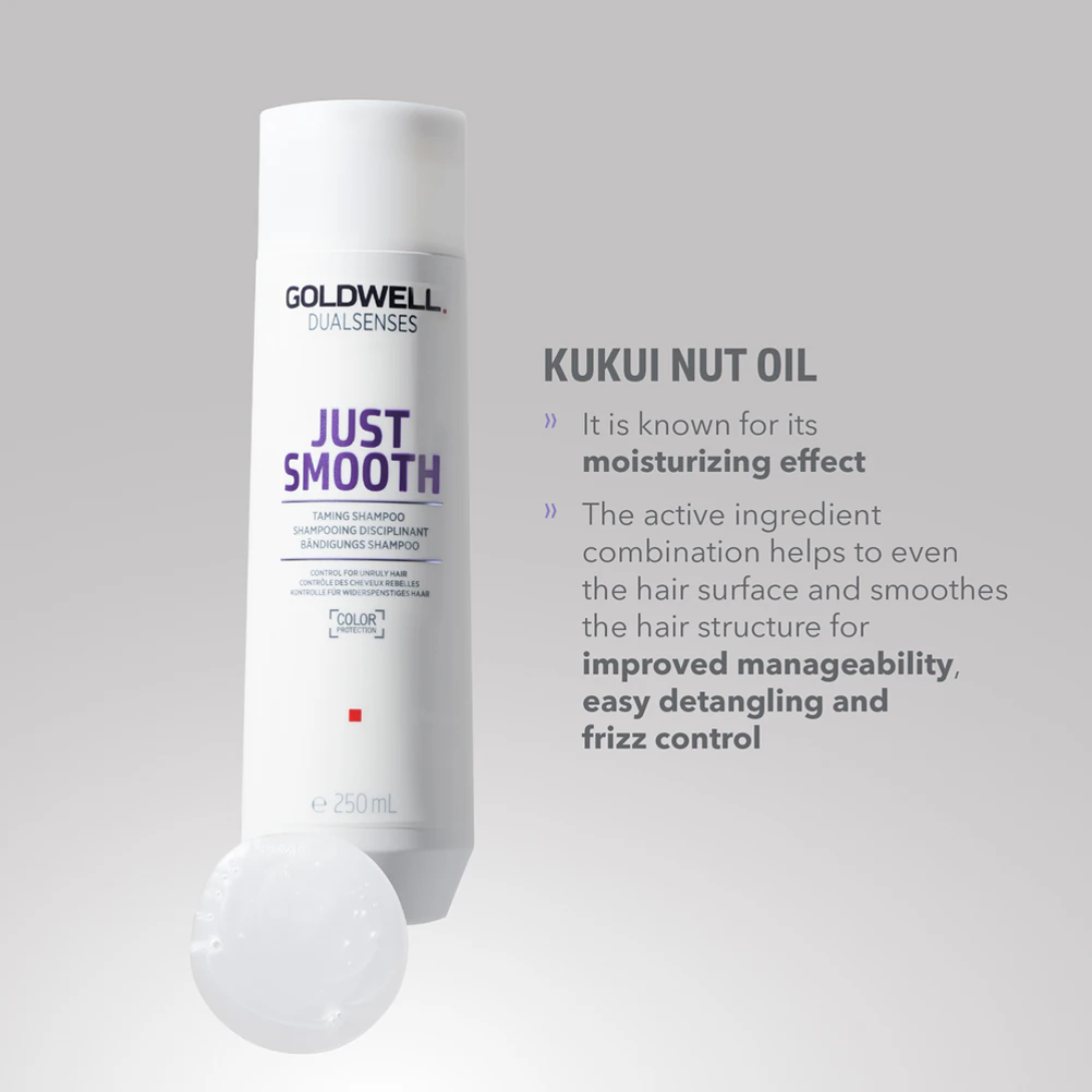 Goldwell Dualsenses Just Smooth Taming Shampoo