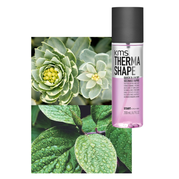 KMS Therma Shape Quick Blow Dry