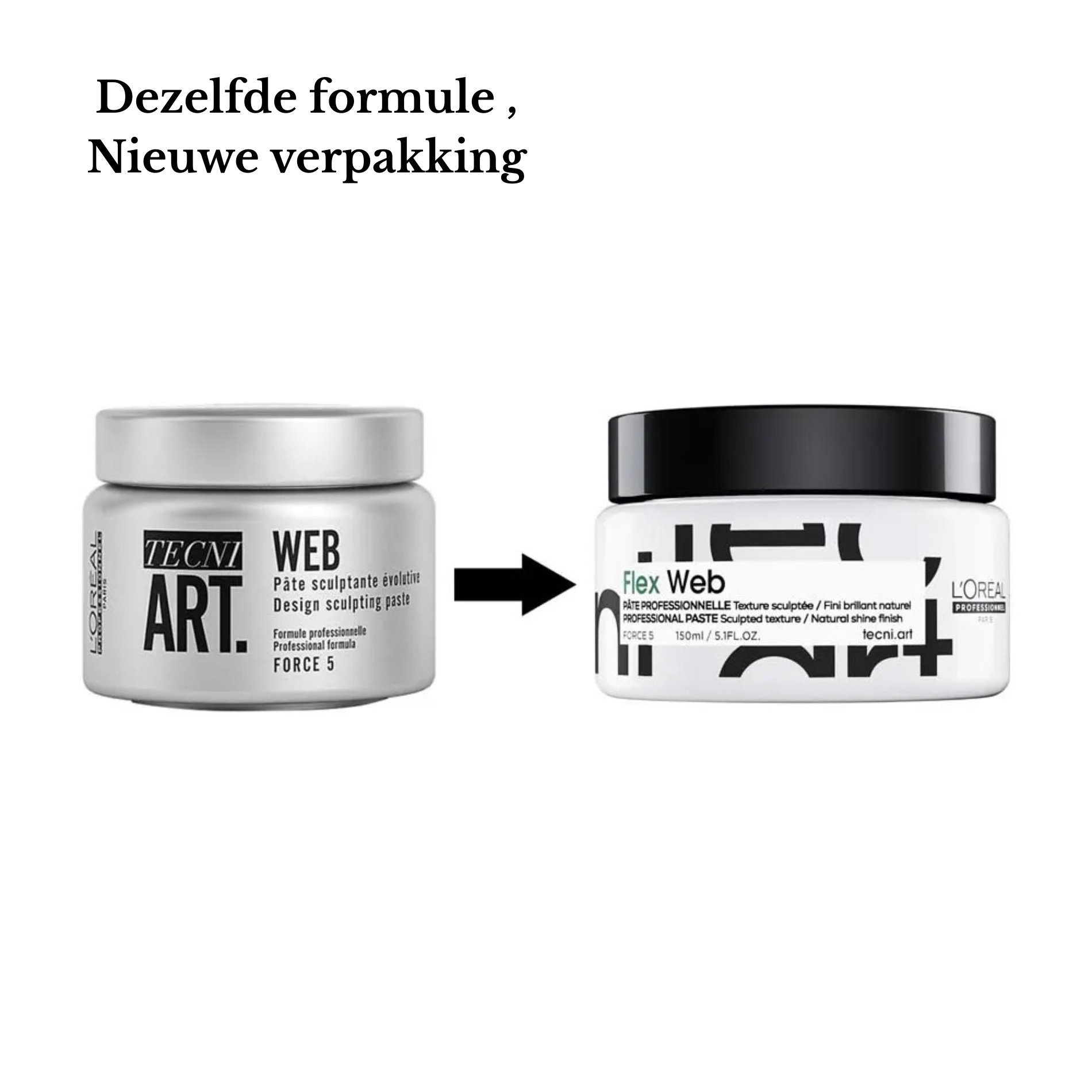 CT-16309_L'Oréal Professionnel Tecni.Art Fix Web - 150 ml