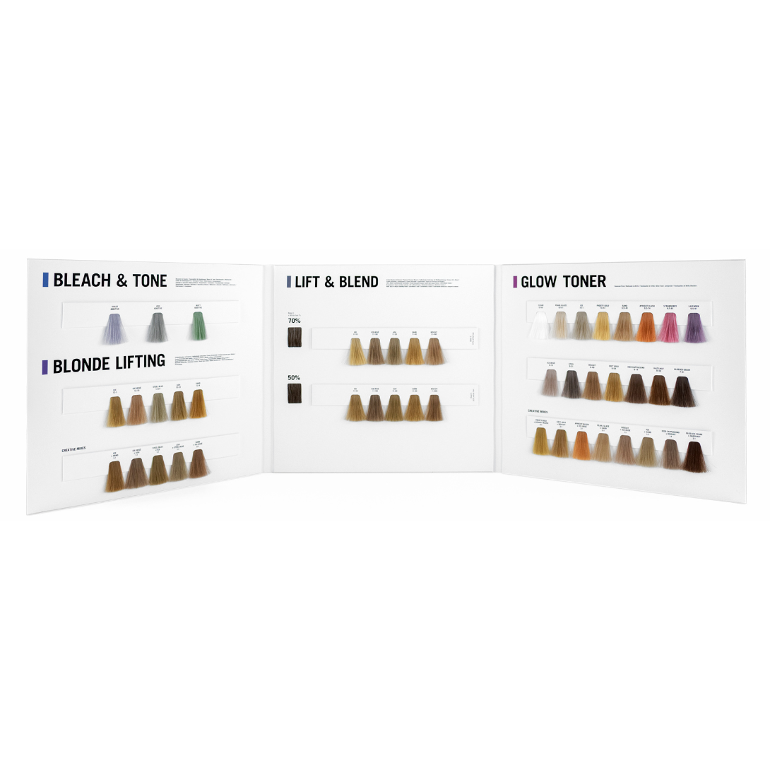 CT-18294_Schwarzkopf Professional BlondMe Farbkarte 09/25