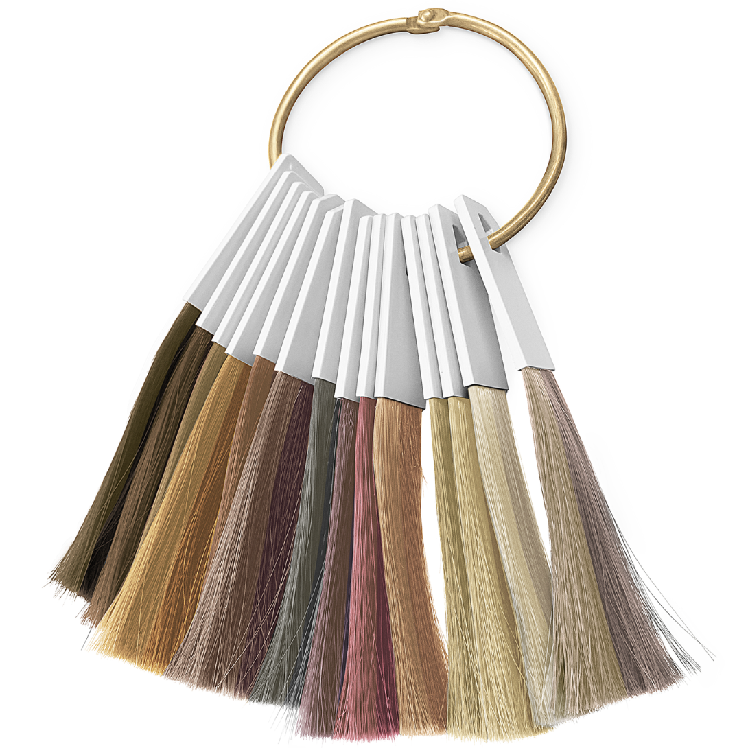 CT-18294_Schwarzkopf Professional BlondMe Farbkarte 09/25