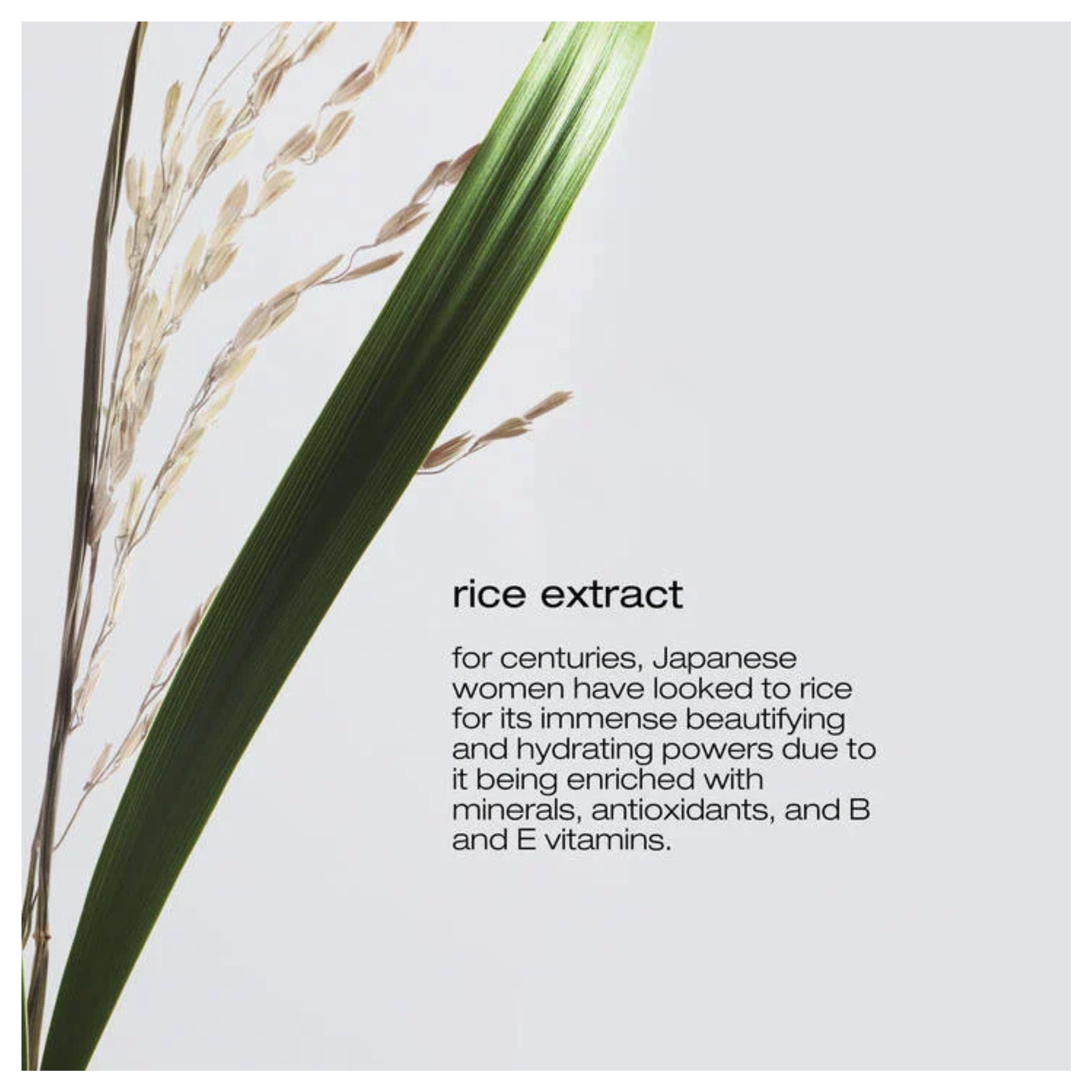 CT-17749_Shu Uemura Ultimate Reset Extreme Repair Shampoo 75 ml