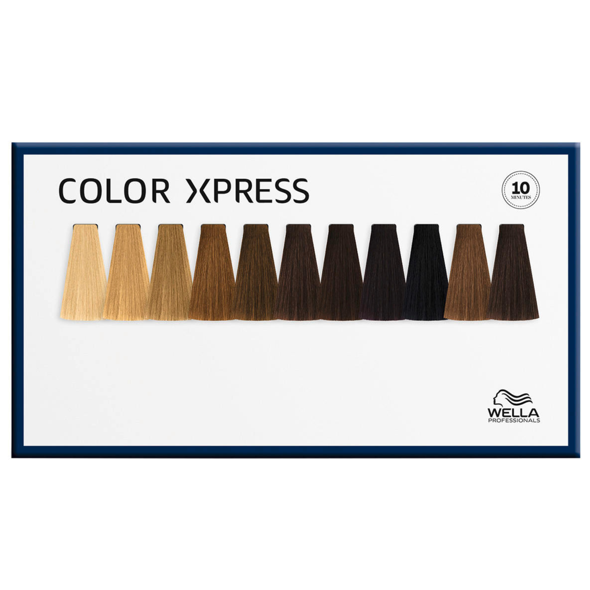 CT-17774_Wella Color Xpress Farbkarte 04/25 Dash