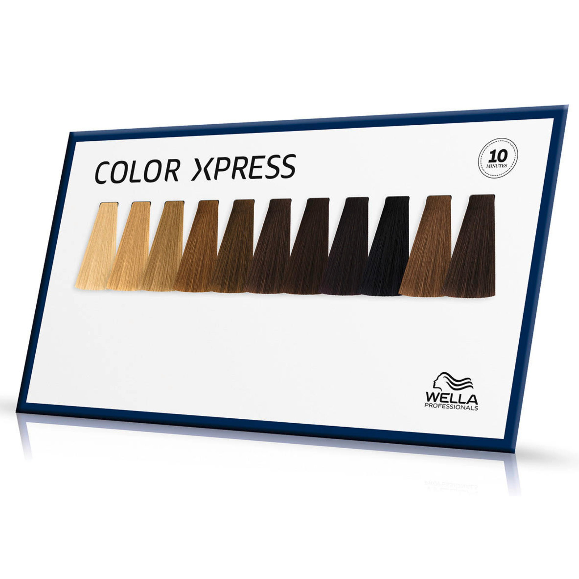 CT-17774_Wella Color Xpress Farbkarte 04/25 Dash