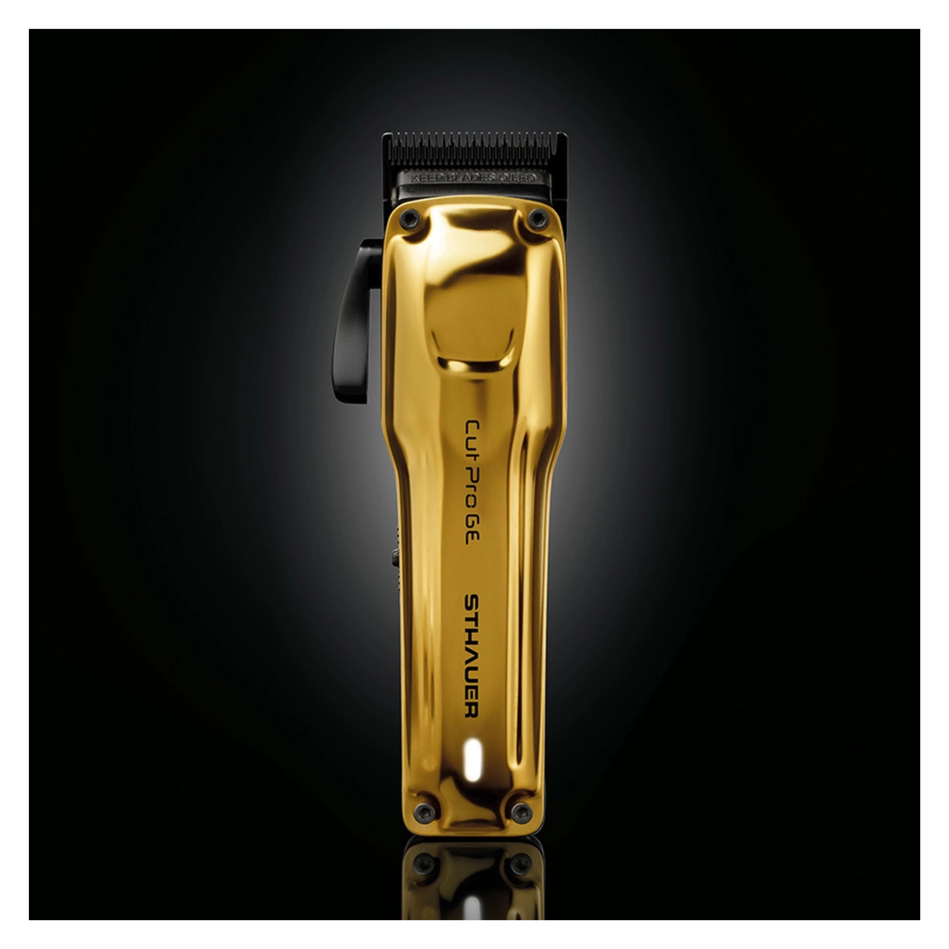 CT-17752_XanitaliaPro Sthauer Cut GE