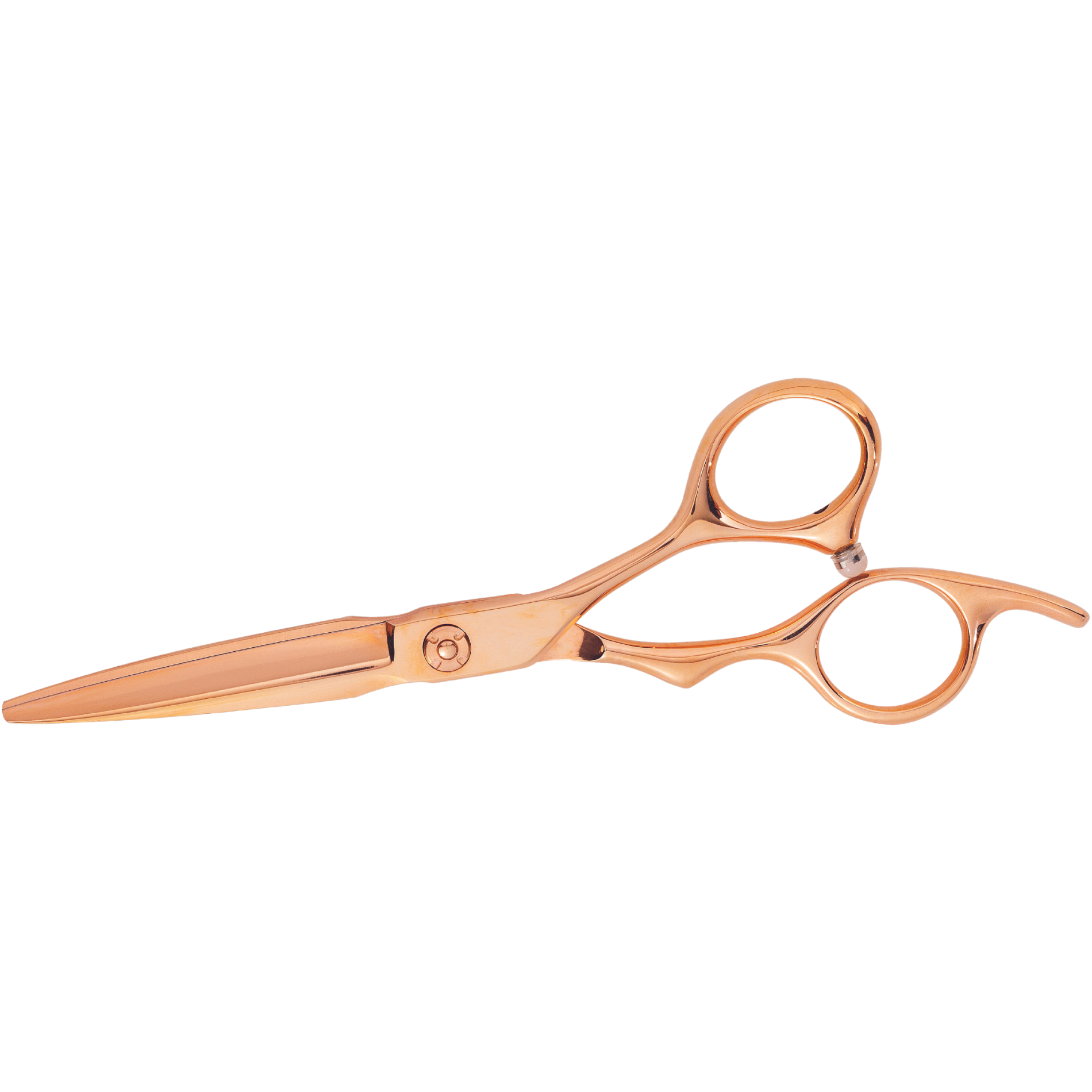 CT-17432_XanitaliaPro Professionelle Friseurschere Roségold